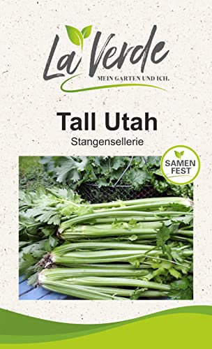 Tall Utah Selleriesamen