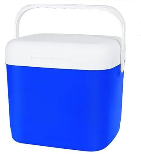 Triple-Layered Insulated Cooler and Small Hard Shell Lunchbox with Airtight Lid for Home Camping Travel Finshing Beach BBQs(Blue,35x30x32.5cm)