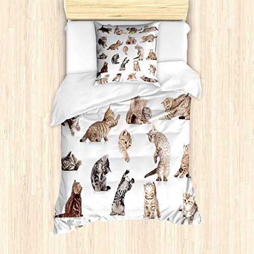ABAKUHAUS Katze Bettbezug Set, Lustige Spielerische Katzen Bild, Milbensicher Allergiker geeignet mit Kissenbezügen, 135 cm x 200 cm - 80 x 80 cm, Braun Schwarz Weiß