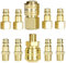 Nutmanel 10 x 1/4 inch BSP Euro Zubehör Schlauch Adapter Kompressor Zubehör Luftkompressor Fitting Ventilbuchse Gewindeanschluss