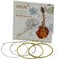 YIWENG M101 Full Set Mandolin Saiten Bronze Wound Edelstahl Silber & Gloden Farbe (.010-.034),Mandoline Saitensatz