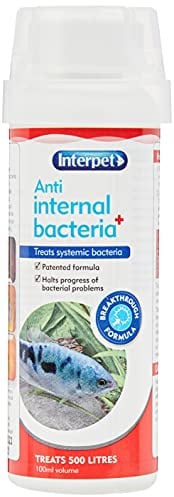 Interpet Anti Bacteria Aquarium Fish Treatment, 100 ml, clear