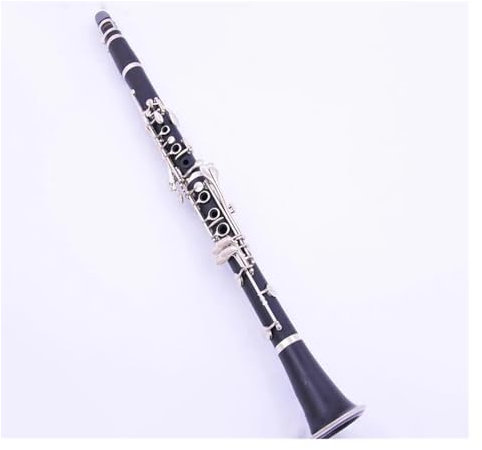 Klarinette Erwachsene Wunderschöne Holzblasklarinette In Der Tonart B Mit Schwarzem Rohr Und Boxzubehör