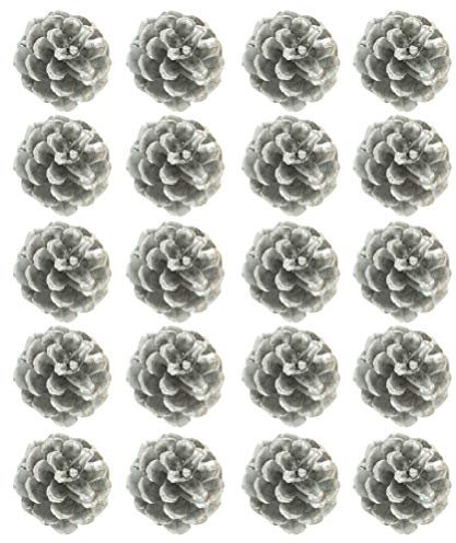 1 Satz 20 STK Weihnachtstannenzapfen Tannenzapfen Handwerk Tannenzapfen Kugeln Weihnachtsanhänger Mit Weißen Tannenzapfen DIY Zubehör Gold Und Silber Hölzern Kleiner Tannenzapfen