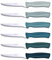 TB Groupe - Set de 6 Couteaux à Steak Record - Lames en Acier INOX - Manches en ABS, Couleurs Assorties - Fabriqués en France - Bleu