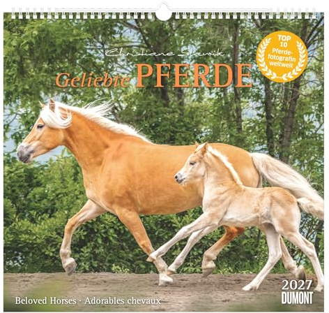 Geliebte Pferde 2027: Wandkalender 38x35,5 cm mit 12 Pferdefotografien von Christiane Slawik und 3-sprachigem Kalendarium