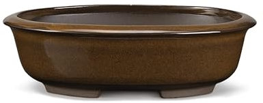 Certrè - Vaso Bonsai Ovale in Gres, Modello Treviso, Made in Italy, Colore Crema Catalana Scura (Smaltato)| 33x26x8,5 cm