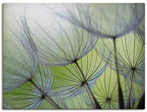 ARTLAND Wanddeko Leinwand Bilder Wandbild 80x60 cm Pusteblumen Natur Botanik Blumen Modern Kunst Abstrakt T5PP