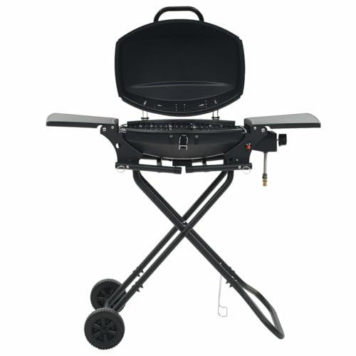 Rantry Barbecue e Griglia a Gas Portatile con Fornello Nero, Mobili per Casa Interno Esterno Soggiorno Camera da Letto b Decorazione da Mobili Camera