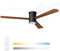 Noaton Ventilatore da Soffitto con Luce e Telecomando, LED Dimmerabile 22,9 W, 3 Temperature di Colore, 3 Pale Legno Scuro, Timer, con Motore DC 34 W, 6 Velocità, Ø132 cm, Silenzioso