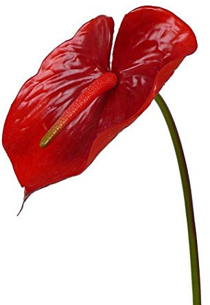 artplants.de Anthurium de plástico Moira, Rojo, 75cm, 13x20cm - Anturio Artificial - Lirio Flamingo sintético