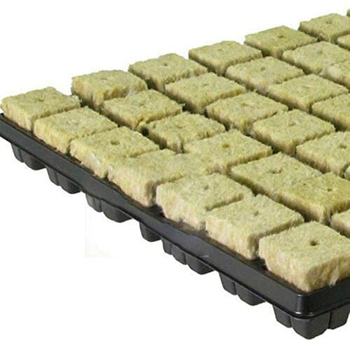 Lioaeust Rockwool Grow Cubes, Pflanzen-Kinderzimmerblock, Anbau-Kompresse, Basis Bodenlos Anbau Hydrokultur Anzuchtmatte für den Anbau und die Kolonisierung Arten von Pflanzen,25*25*40mm(50 Stück)