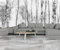 Papier Peint Panoramique Jungle Noir et Blanc 3d Soie, 410 X 280 cm Papier Peint Bosquet Tropical Nature - Grandes Murales Poster pour Salon, Adulte Chambre d'enfants, Étude Décoration