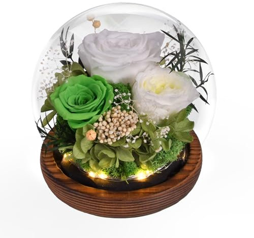 Beinhome Rosa Stabilizzata Vera Rose Eterne Fiori Fatto a Mano in Vetro con Luci LED Regali per Lei Donna Mamma Nonna Fidanzata, per San Valentino Festa della Mamma Compleanno Ringraziamento Natale