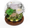 Beinhome Rosa Stabilizzata Vera Rose Eterne Fiori Fatto a Mano in Vetro con Luci LED Regali per Lei Donna Mamma Nonna Fidanzata, per San Valentino Festa della Mamma Compleanno Ringraziamento Natale
