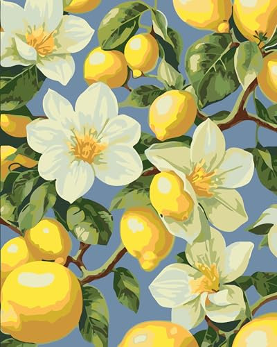CaptainCrafts Malen nach Zahlen Erwachsene DIY Malen nach Zahlen Kit enthält Pigmente Leinen Leinwand Pinsel DIY Ölmalerei 40x50cm (Mit Rahmen, Obst Zitrone und Blumen)