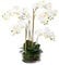 Kunstblume PHALENOPSIS ca. 50-60cm weiß, WEISS. Phalaenopsis Orchidee im massivem Glas 20 cm.