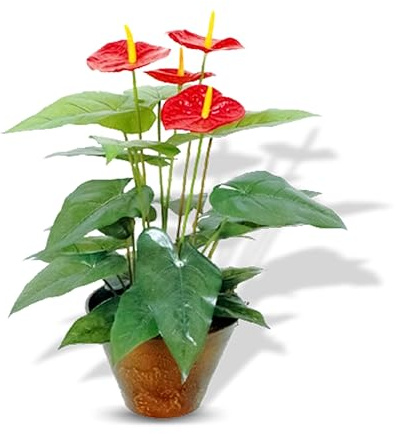 Crystals Decorative Flora - Small Artificial Plants in Pots for Indoor Decor - Faux Plants for Bathroom (20 Leaves Flamingo Lily)