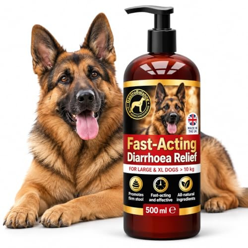 Traitement Anti diarrhée Chien - Soulagement diarrhée pour Chiens de Grande Taille > 10 kg (English)