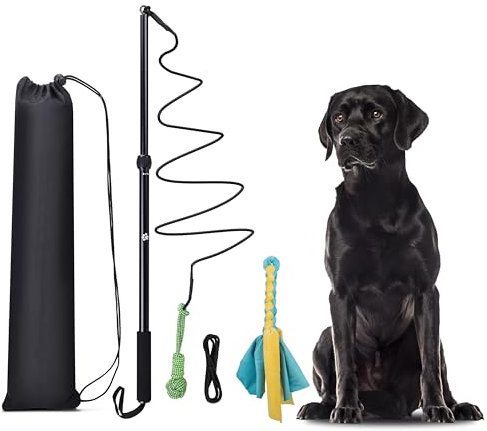 KOXXUD Reizangel Hunde, Profi Reizangel für Kleine, Mittelgroßer, Große Hunde, Martin Rütter für Ultimativen Spielspaß & Körperliche Auslastung (Seilstreifen + Seilbälle)