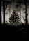 Bug Art Weihnachtskarten, 8 Stück, Waldtiere, geprägt mit Folien-Details, umweltfreundlich und recycelbar