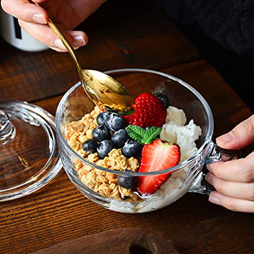 Tasse en Verre Micro Ondes avec Couvercle Verre 500ml Tasse de Petit Déjeuner Transparent Vintage Tasses à Café Coupe de Café Ronde Tasse de Verre Paroi Épais Soupe Latte Café Céréales Crème Glacée