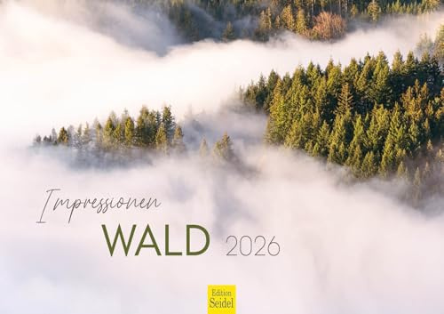 Edition Seidel Premium Kalender Wald 2026 Format DIN A3 Wandkalender Bäume Wälder Wasserfall Lichtungen Waldsee Berge Täler