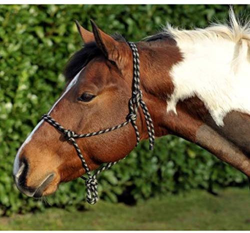 Knotenhalfter 9125 schwarz/beige Pony