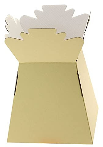 Floralcraft Cream Hand-Tied Living Vase Florist Bouquet Box, Presentation/Transporter Box/Flower Plant Aqua Boxes, (Pack of 30)