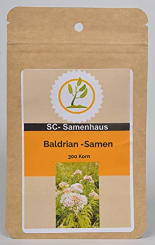 Echter Arznei Baldrian Valeriana officinalis 300 Samen SC-Samenhaus