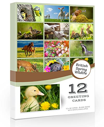12 x British Spring Wildlife Folding Greeting Cards with Envelopes. Easter Greeting Cards. Spring UK Countryside Collection. Blank Inside for All Occasions