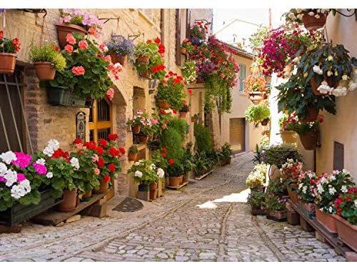 Runa Art Fototapete Mediterran Gasse 352 x 250 cm Vlies Tapeten XXL Moderne Wandtapete Wohnzimmer Schlafzimmer Braun Bunt 9478011a