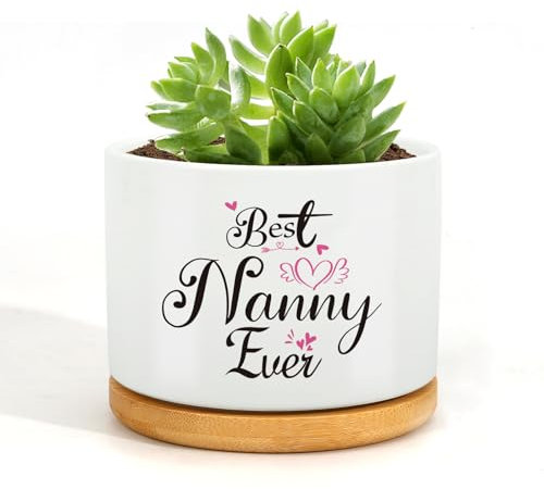 Wixelon Nanny Gifts,Gifts for Nanny,Nanny Birthday Gifts,Succulent Pots Gifts,Nanny Gifts from Grandchildren,Best Nanny Gifts,Presents for Nanny,Nanny Presents,Nanny, Nanny