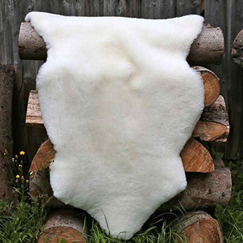 Hollert Lammfell Champagner kurzhaar 110-120 cm echtes Merino Schaffell Wollhöhe 3-4 cm kuschelig weich Teppich ökologische Gerbung von Deutschen Schäfereien Naturform Dekofell