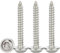 Drenky M4x25mm Blechschrauben Selbstschneidend,50 Stück Holzschrauben Torx Flachkopf Mit Scheibe Selbstschneidende Schrauben Edelstahl Rostfrei A2 V2A Vollgewinde