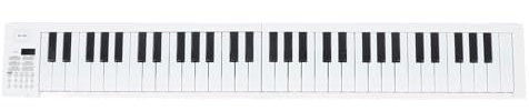 Teclado de Piano Portátil, Teclado de Piano Plegable Electrónico Suave Profesional Compacto de 61 Teclas para Principiantes para Practicar