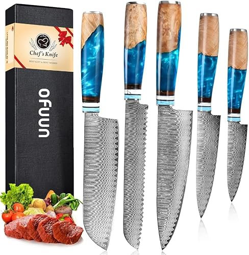 oFuun Set Cuchillo Cocina 5 Piezas, 67 Capas de Acero de Damasco Profesional Juegos de Cuchillo de Cocinero, Cuchillo Chef Kiritsuke Nakiri Deshuesar Universal con Mango Resina Azul