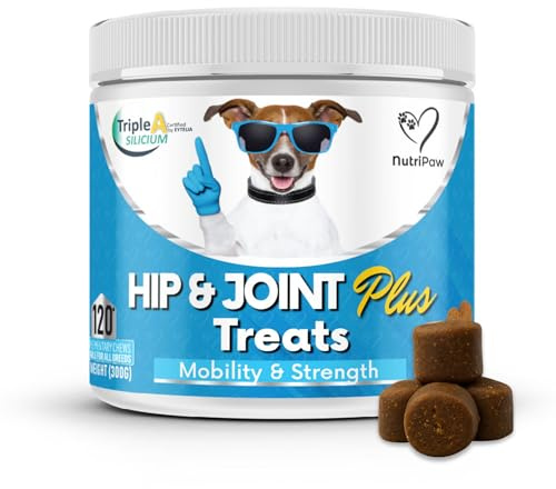 NutriPaw Joint PLUS For Dogs - Stiffness, Strength, Mobility & Flexibility - Worlds First Joint Chew Powered By Kynosil® - Perfect for Small, Medium & Large Dogs