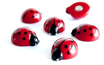 Assorted Animal Style Office Magnets for Magnetic Whiteboards, Noticeboards, Filing Cabinets, or Fridges - Lady Bugs - Pack of 6