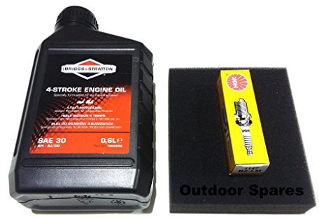 Wadoy Mountfield Lawn Mower Service Kit Suitable for RV150,SV150 & V35 Engines