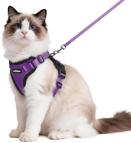 rabbitgoo Cat Harness and Lead Set, Escape Proof Vest, Purple | Soft Breathable Mesh, Adjustable Fit, Snap Buckles, Reflective Strips, with 1.5m Lead for Medium to Large Cats Walks, M