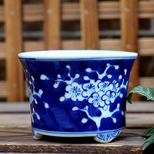 WDSOPK Jingdezhen Chinoiserie Keramik Handbemalt Blau und Weiß Porzellan Blumentopf Pflaumenblüte Spargel Sukkulenten Bonsai Zimmerpflanze Topf Dekoration Dekoration