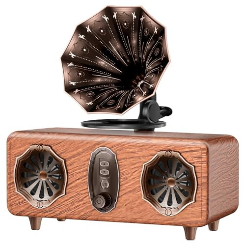 FREEFISH Retro Bluetooth Speaker, Vintage FM Radio, Support TF Card/AUX/USB, Portable Speaker Wireless for iPhone, Android, 5W Speaker, Bluetooth 5.3, 1800mAh Battery (AS36)