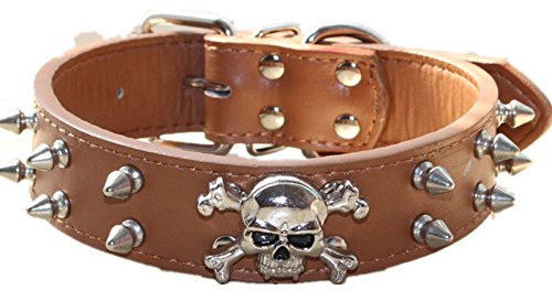 haoyueer Hundehalsband aus Leder mit Nieten, 2 Reihen Kugelnieten, PU-Leder, cooles Totenkopf-Zubehör für mittelgroße und große Hunde, Größe M, Braun