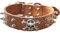 haoyueer Hundehalsband aus Leder mit Nieten, 2 Reihen Kugelnieten, PU-Leder, cooles Totenkopf-Zubehör für mittelgroße und große Hunde, Größe M, Braun