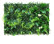 Zilimontt Panel de pared de césped verde artificial 40X60cm Plantas de césped de plástico Estera decorativa para el hogar, hotel, sala de estar, cafetería, interior y exterior, fondo vertical de