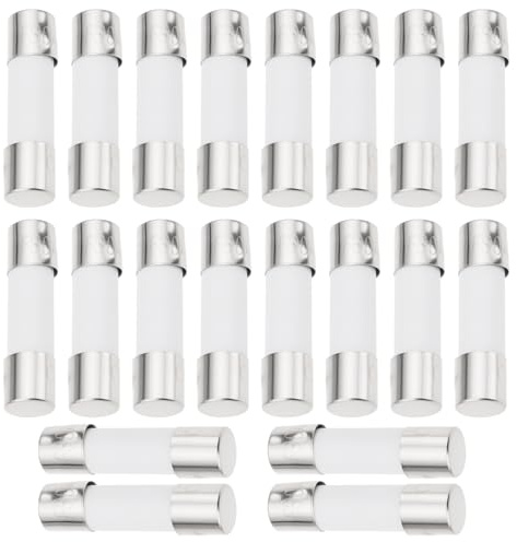 YINETTECH Lot de 20 fusibles de batterie pour vélo électrique 30 A 5 x 20 mm Corps en céramique Compatible avec les batteries Silverfish