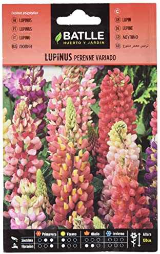 Semillas Batlle Lupinus perenne variado