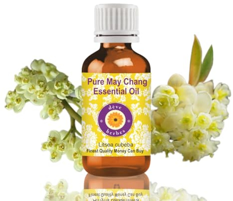 Deve Herbes Reines May Chang Ätherisches Öl (Litsea cubeba) Natürlich Therapeutische Qualität, dampfdestilliert 15ml (0,50 oz)