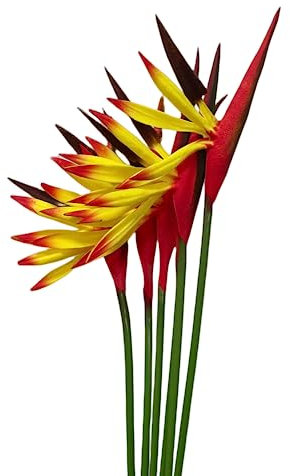 Rikyo Strelitzia Lot de 6 Fleurs artificielles - Oiseau de Paradis - 58,4 cm - Bouquets de Fleurs Tropicales d'imitation pour Bureau, Maison, fête, Arrangement, Plantes en Pot (Jaune)